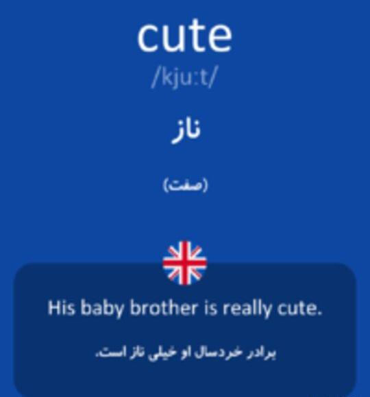 عکس کیوت یعنی چه