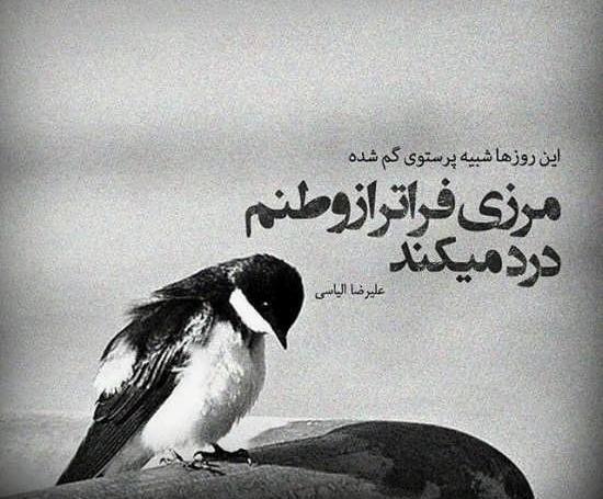 عکس چه دنیای نامردی
