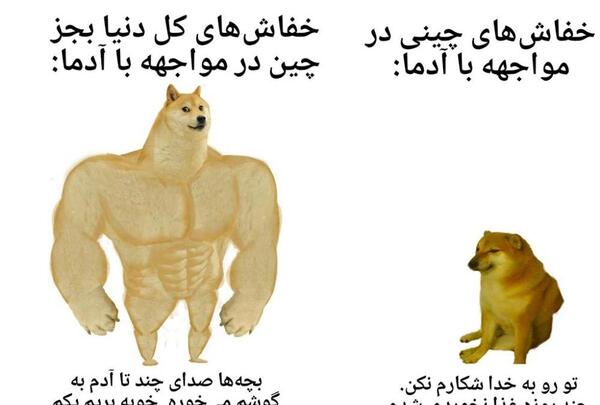 عکس کرونا اومد روم
