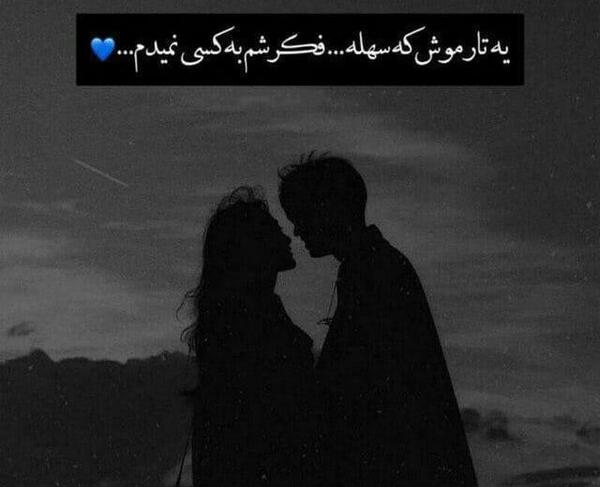 عکس پروفایل شاخ عاشقانه