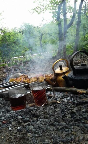 عکس سیزده بدر طبیعی