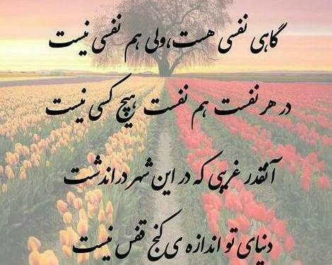 عکس دنیا بی وفا