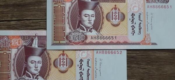 عکس پول مغولستان