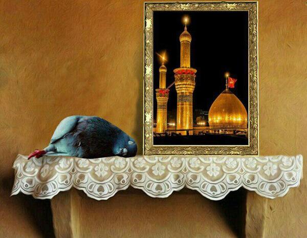 عکس شب جمعه امام حسین