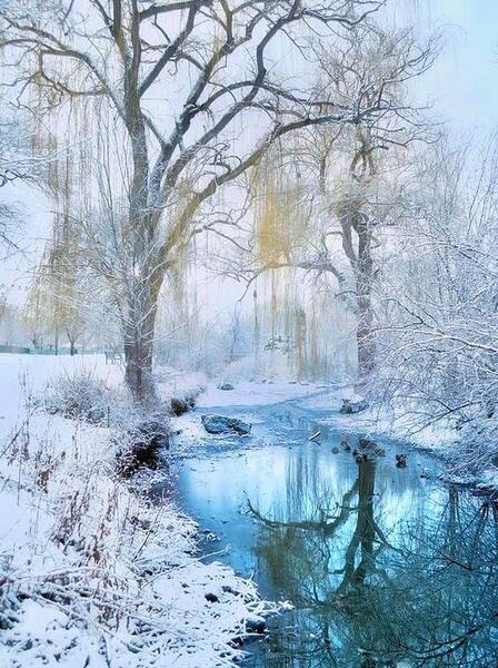 عکس برای پروفایل طبیعت زمستان