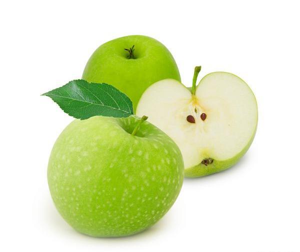 عکس عدس سبز شده