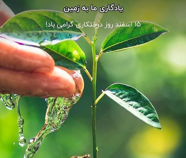 عکس نوشته روز درختکاری
