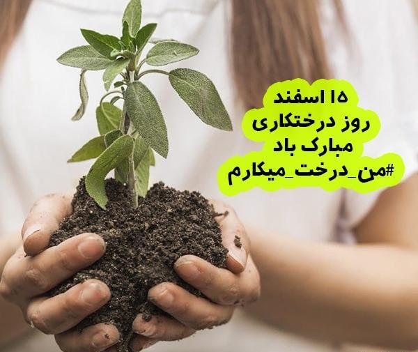 عکس نوشته روز درختکاری