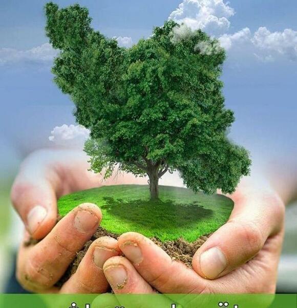 عکس نوشته روز درختکاری
