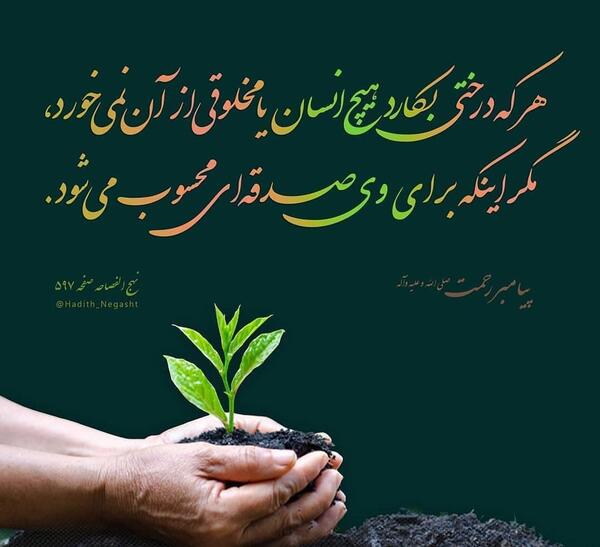 عکس نوشته روز درختکاری