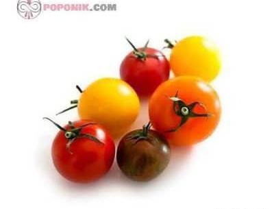 عکس گوجه چری