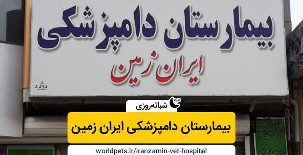 عکس حسین گربه کرج