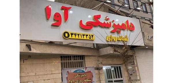عکس حسین گربه کرج
