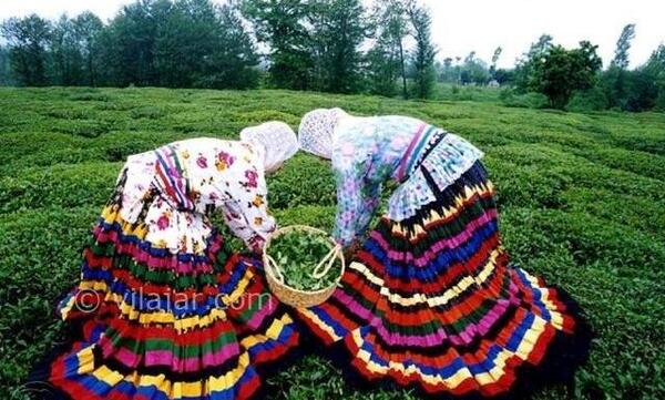 عکس قاسم آبادی