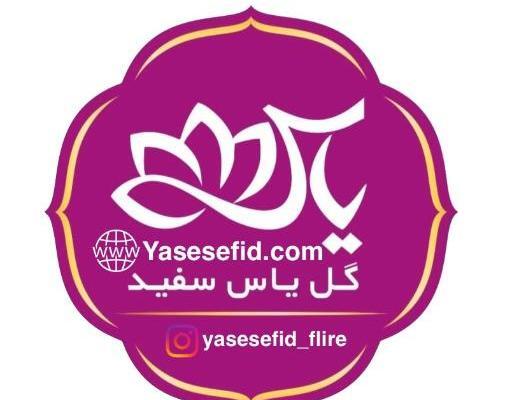 عکس استخر یاس سفید پاکدشت