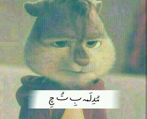 عکس پروفایل تیکه دار بدون متن