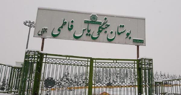 عکس بوستان یاس فاطمی