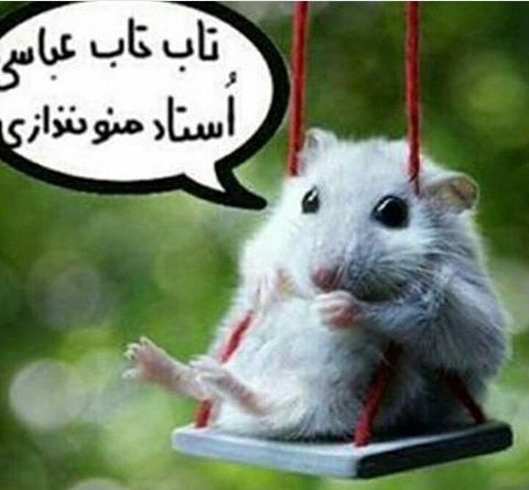 عکس برای پروفایل گروه تقلب
