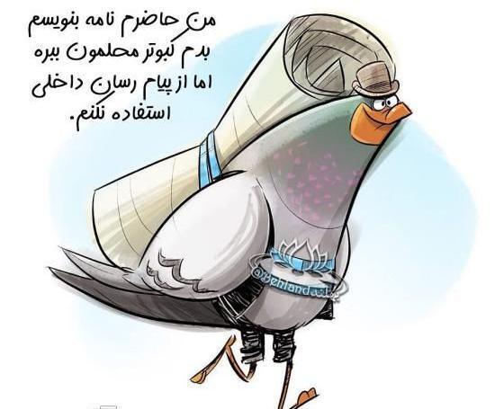 عکس پروفایل کبوتر لاتی