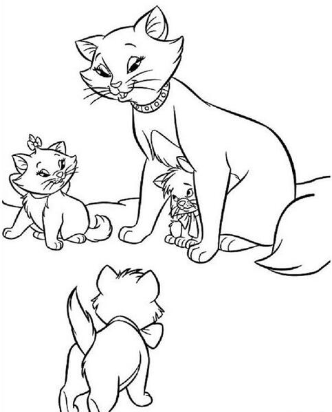 عکس گربه برای رنگ آمیزی