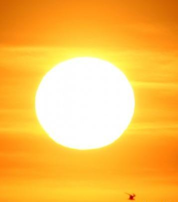 عکس کیوت خورشید