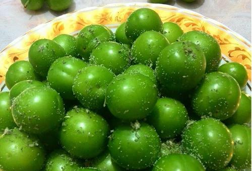 عکس آلوچه سبز