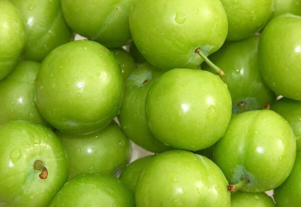 عکس آلوچه سبز