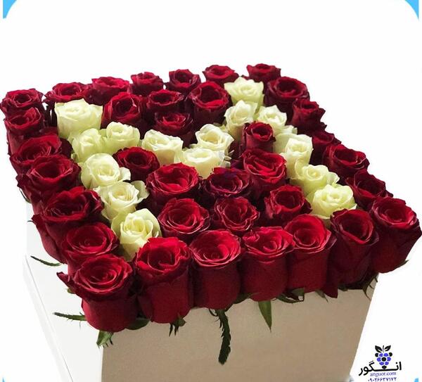 عکس گل ملینا