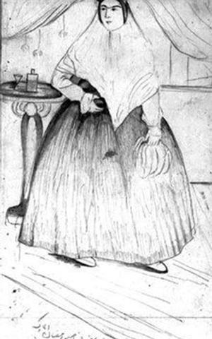 عکس سرسره ناصرالدین