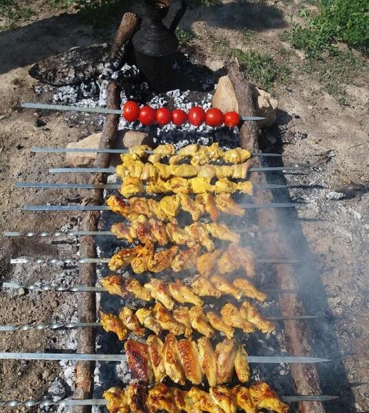 عکس کباب 13 بدر