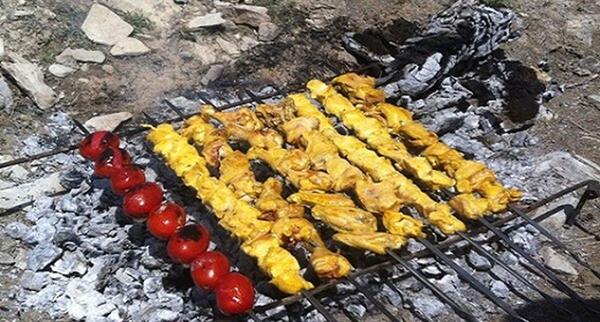 عکس کباب 13 بدر