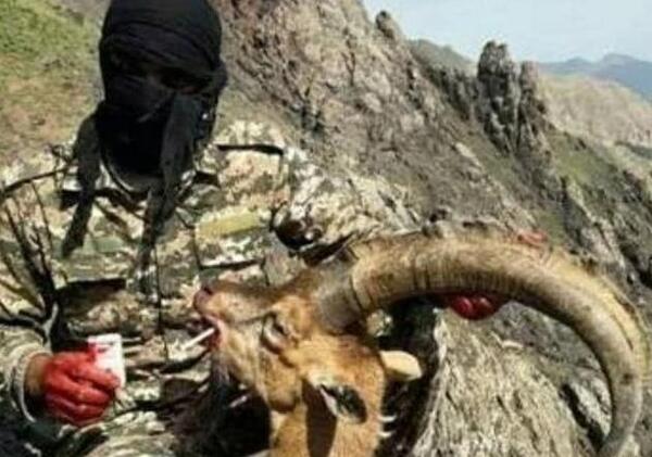 عکس بازی غیر مجاز