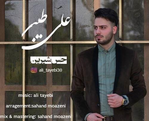 عکس اهنگ قاسم طیبی