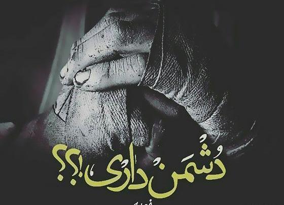 عکس نوشته شاخ مجازی