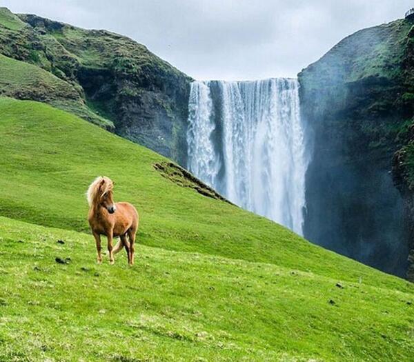 عکس دنیای زیبا