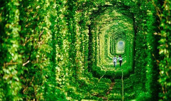 عکس دنیای زیبا