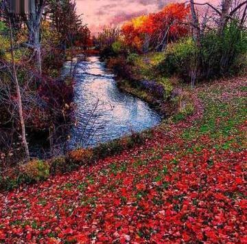 عکس دنیای زیبا