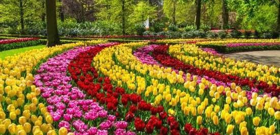 عکس دنیای زیبا