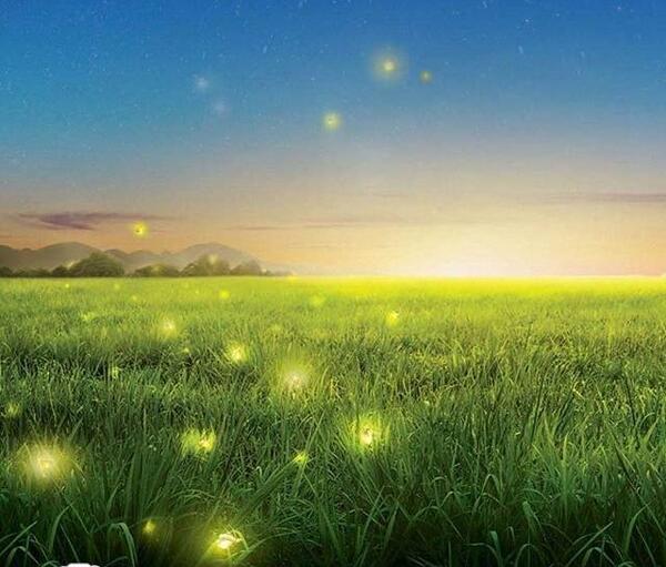 عکس های زیبا از طبیعت ایران