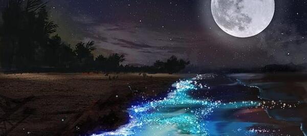 عکس شب شد و