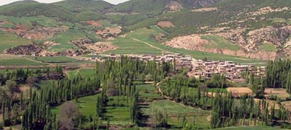 عکس میامی مشهد