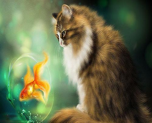 عکس گربه پشمالو برای پروفایل