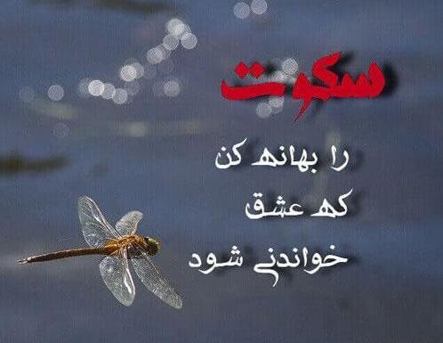 عکس پروفایل روزه سکوت