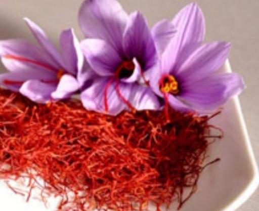 عکس نگین زعفران