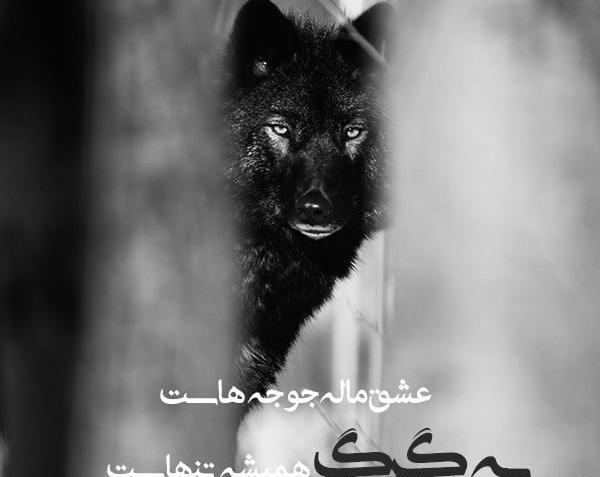 عکس لاتی نوشته خفن