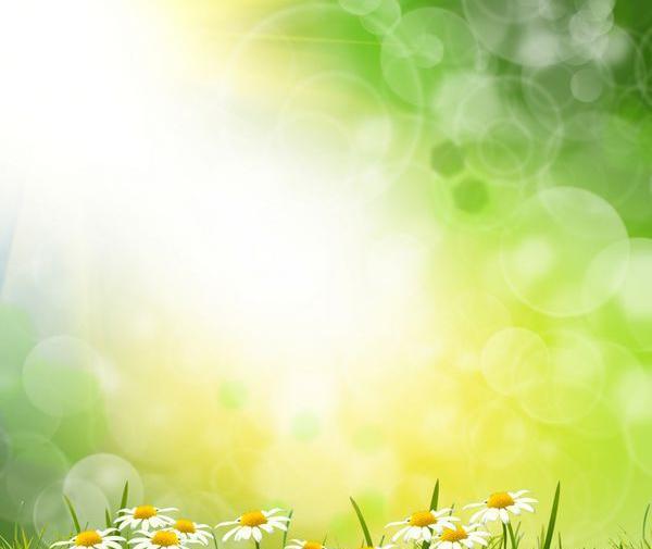 عکس سبز چمن