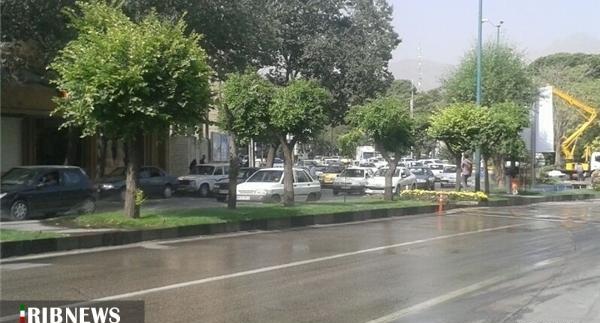 عکس سبز چمن