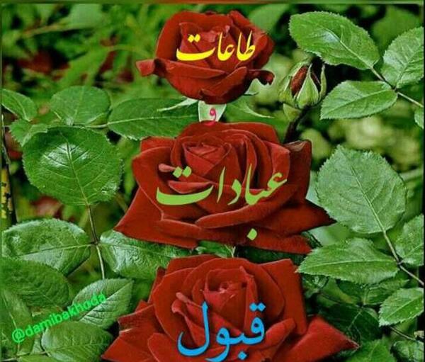 عکس نماز روزه هاتون قبول باشه