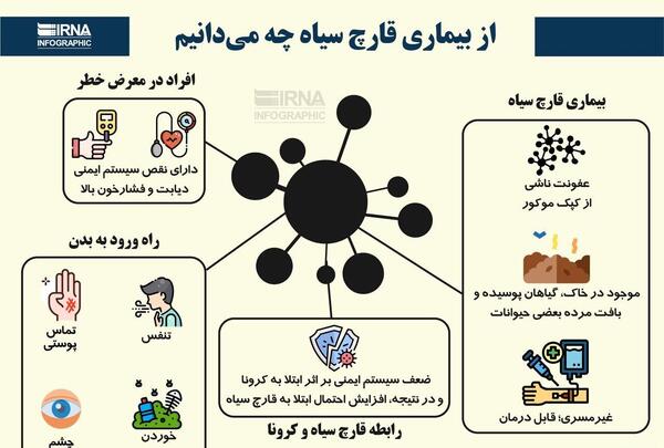 عکس قارچ کرونا