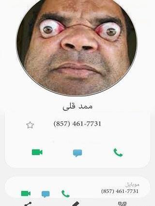 عکس محمد قلی شماره